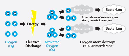 Electrical discharge turns oxygen molecules into activated oxygen (O3). Oxygen atom destroys the cellular membrane of bacteria. After release of extra oxygen atom, it reverts to oxygen.